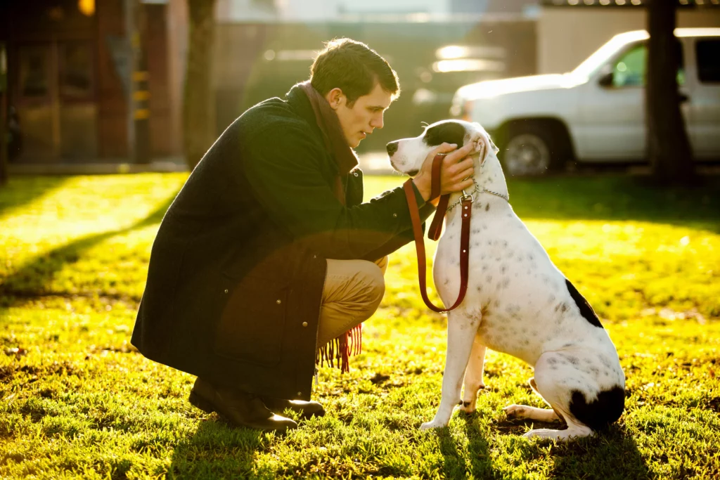 Can Your Dog Sense Your Stress?