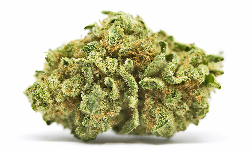 Blazentine Marijuana Strain