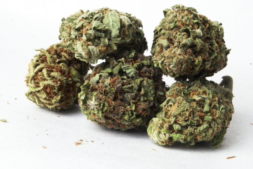 Citrus Freak Show Marijuana Strain